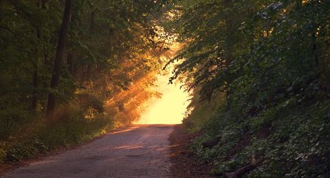 Waldweg