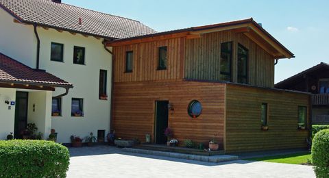 Anbau modern mit Holzfassade