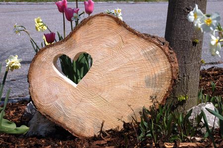 Holzscheibe mit Herz